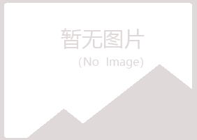 城固县紫山采矿有限公司